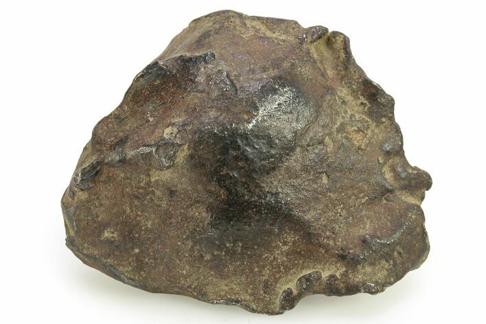 Gebel Kamil Iron Meteorite ( g) - Egypt #265442